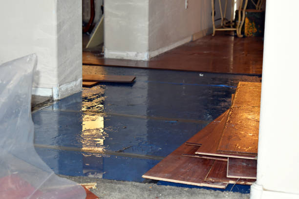 Professional Water Damage technician working in Flagtown, NJ